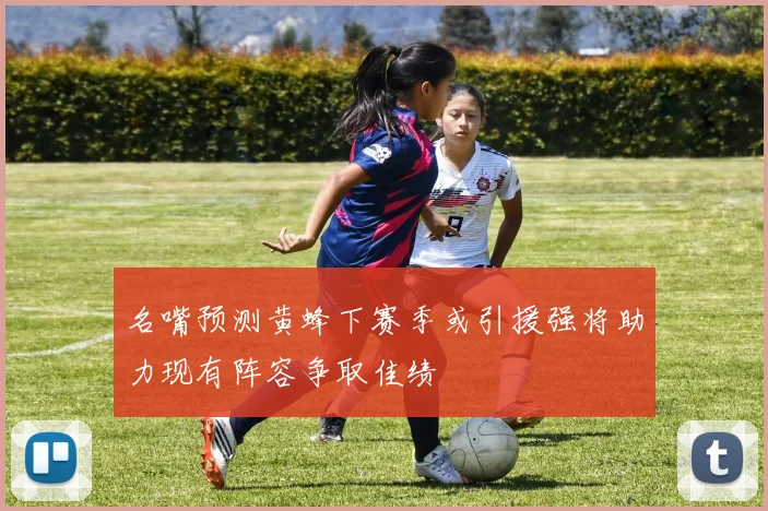 名嘴预测黄蜂下赛季或引援强将助力现有阵容争取佳绩