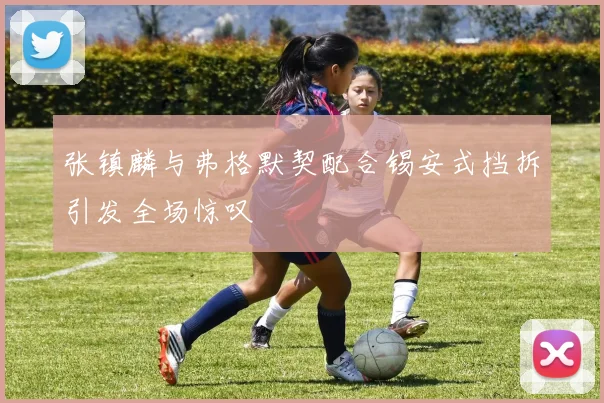 张镇麟与弗格默契配合锡安式挡拆引发全场惊叹