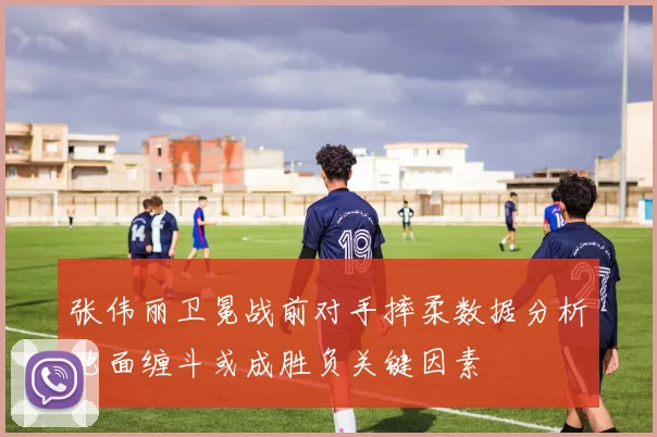 张伟丽卫冕战前对手摔柔数据分析地面缠斗或成胜负关键因素