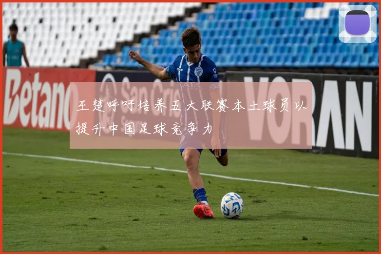王楚呼吁培养五大联赛本土球员以提升中国足球竞争力