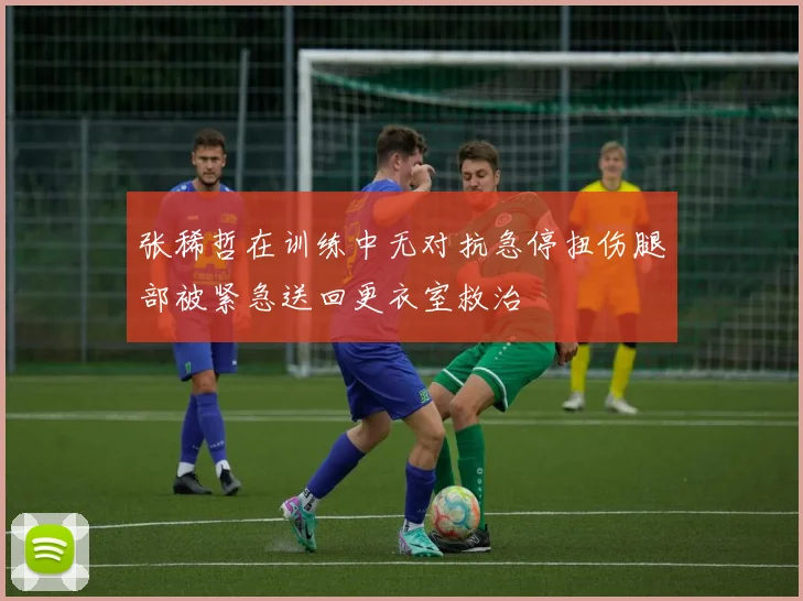 张稀哲在训练中无对抗急停扭伤腿部被紧急送回更衣室救治